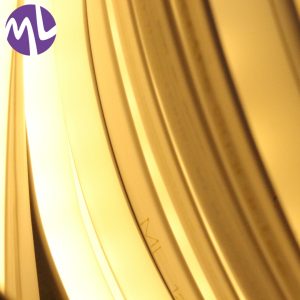 ال ای دی نئون فلکسی 12V آفتابی